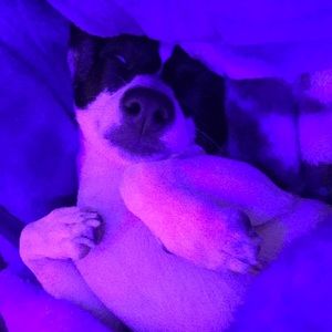 Meet your Posher, Krystal